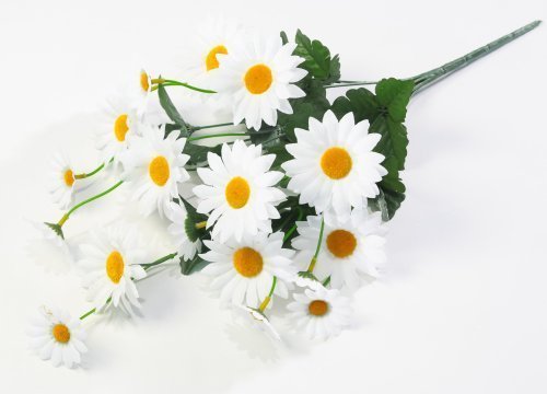 Ромашка "Юнона" 10 веток