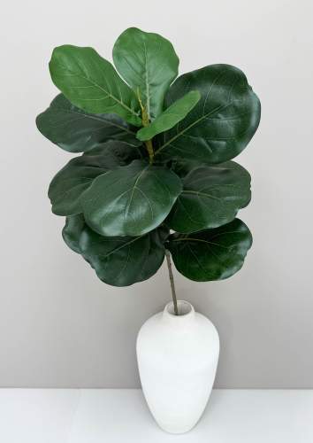 Лирата темно-зеленая 15 листов