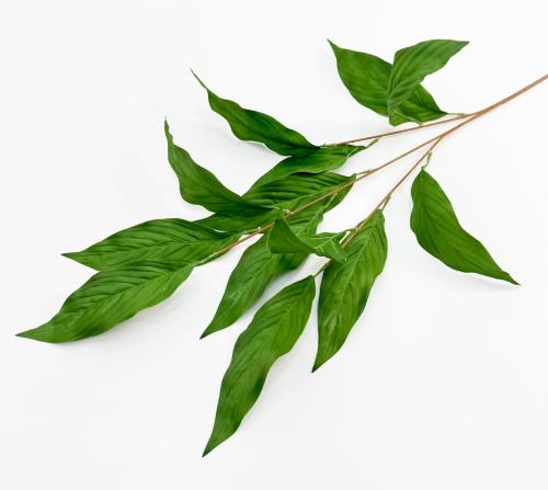 Аглаонема декоративная зеленая 