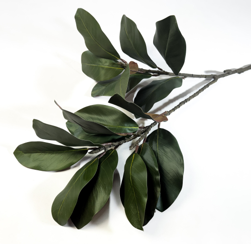 Ветка магнолии "Лето" 17 листов