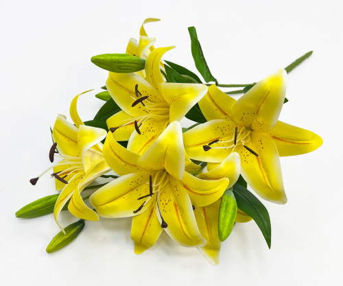 Лилия "Ферреро" 6 цветков