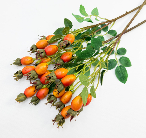 Шиповник "Воронцовский" оранжевый