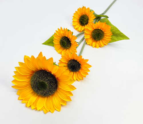 Подсолнух "Казачий" 5 цветков