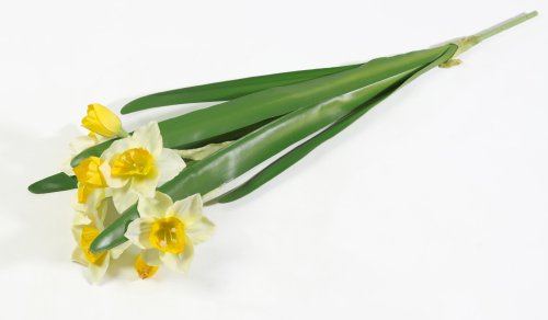 Ветка нарциссов