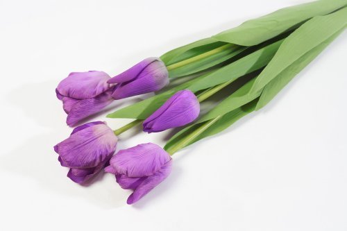 Тюльпан с латексным покрытием фиолет (12 букетов по 5 шт)