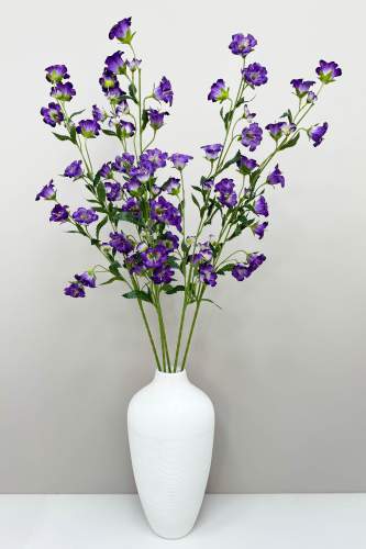 Кампанула фиолетовая