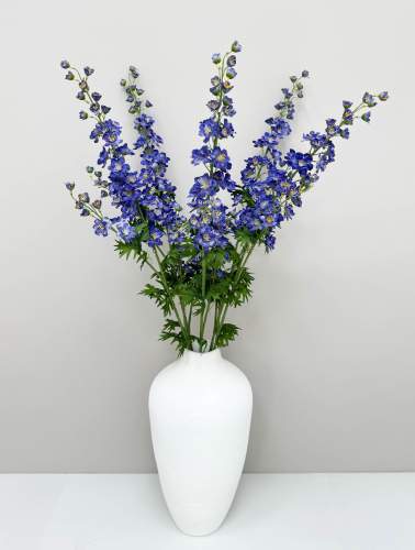 Дельфиниум фиолетовый