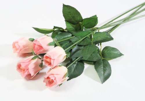 Роза с латексным покрытием малая коралл