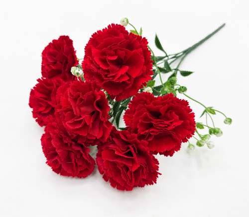 Гвоздика "Аристократ" 7 цветков