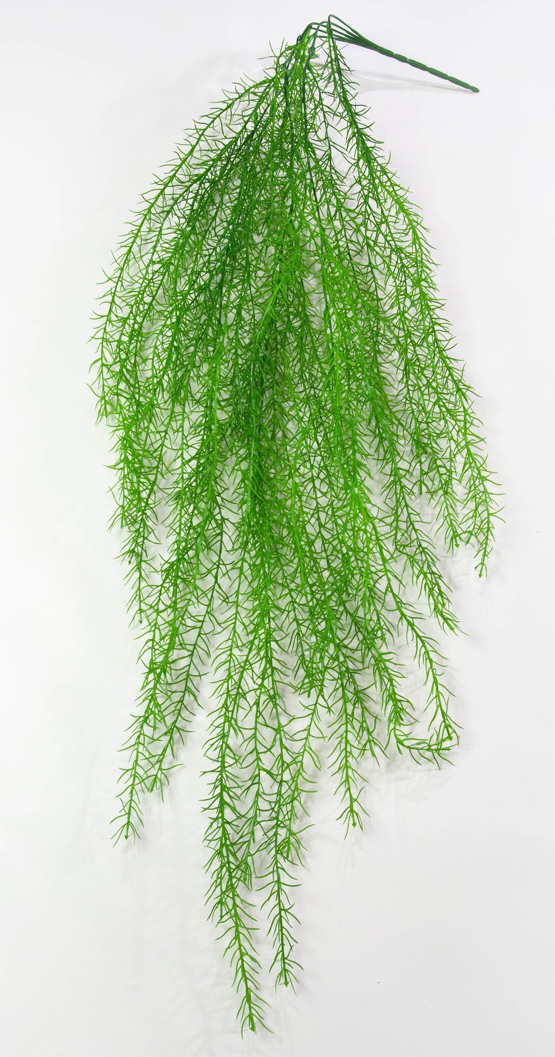 Купить Аспарагус искусственный от магазина KALINA