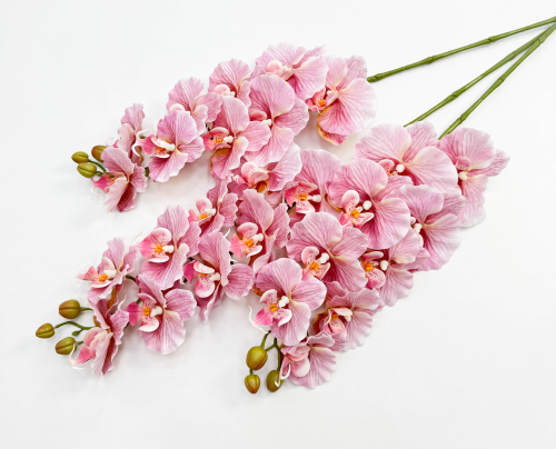 Орхидея "Биг Лип" розовая 9 цветков