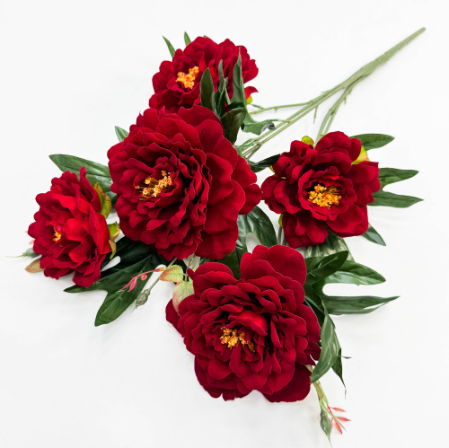 Пион "Хвала" 5 цветков