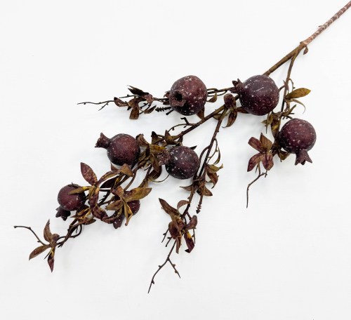 Гранат "Поздняя осень"