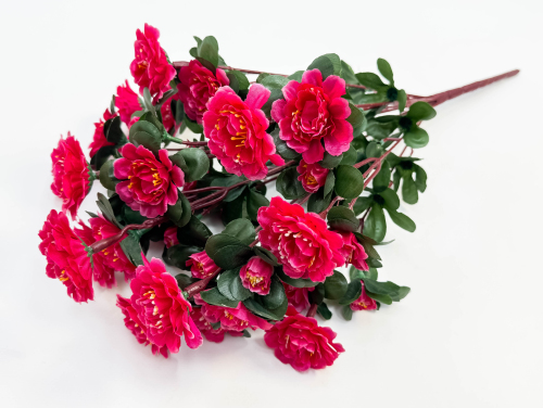 Азалия 24 цветка 12 бутонов