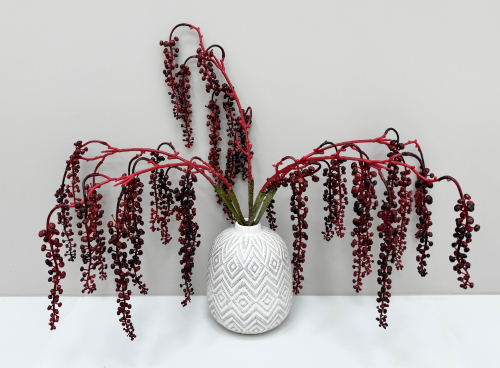 Фитолакка бордо