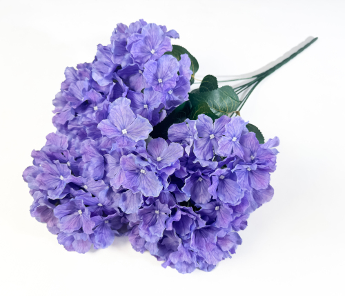 Гортензия 6 веток