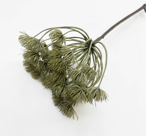 Борщевик светло- болотный