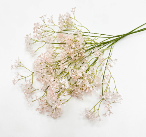 Гипсофила "Изящная" чайная 