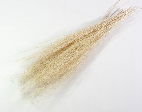 Аспарагус натуральный 2