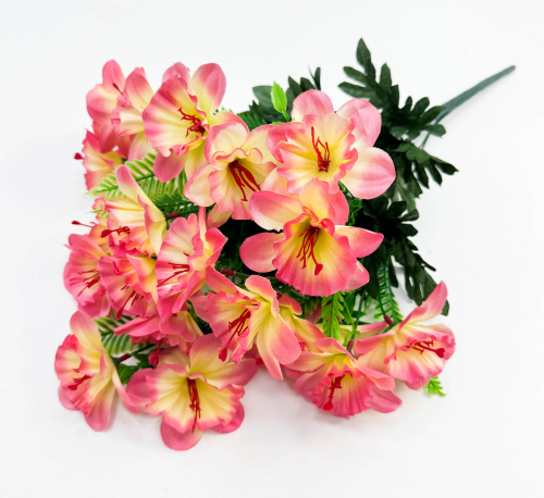 Нарцисс  22 цветка 