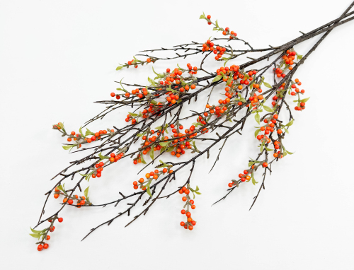 Облепиха большая