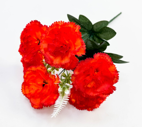 Гвоздика "Асмус" 6 цветков