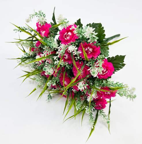 Цинния 24 цветка