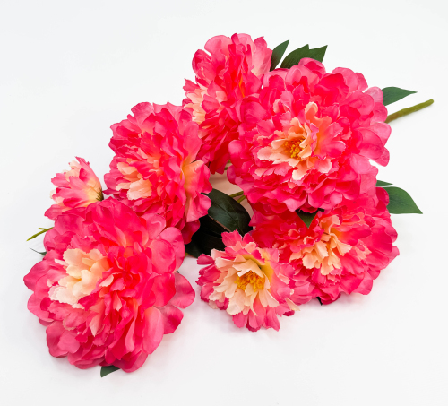 Пион " Рубиновый каприз" 8 цветков 