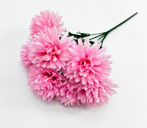 Хризантема "Репутация" 7 цветков