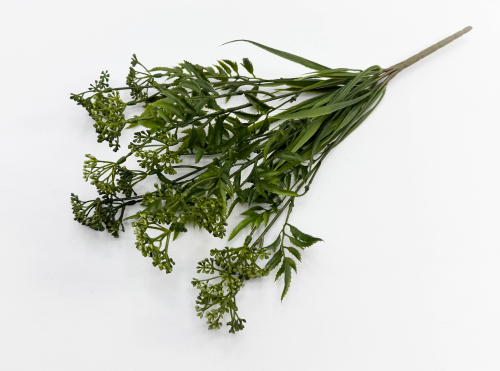 Тысячелистник зеленый