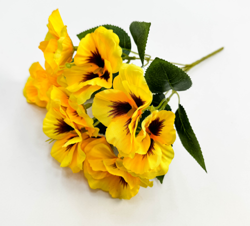 Фиалка "Крылья бабочки" 10 цветков