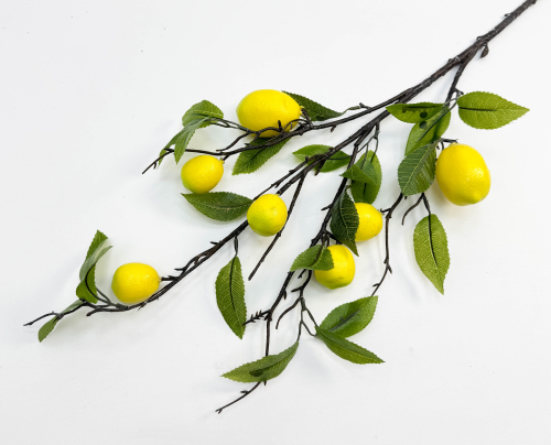 Ветка лимона 7 плодов