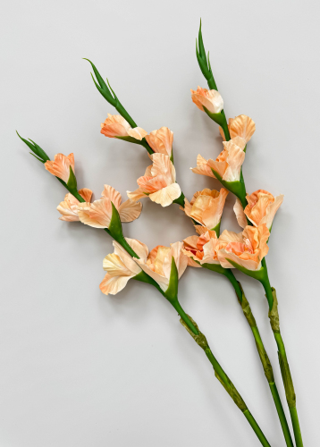 Гладиолус "Цветочный калейдоскоп" персиковый