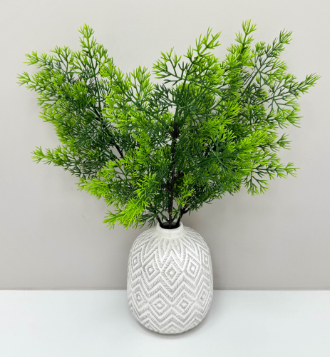 Туя "Летняя пора"