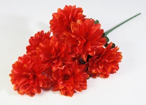 Георгин "Виталина" 7 цветков