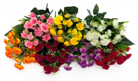 Гвоздика "Стелла" 36 цветков