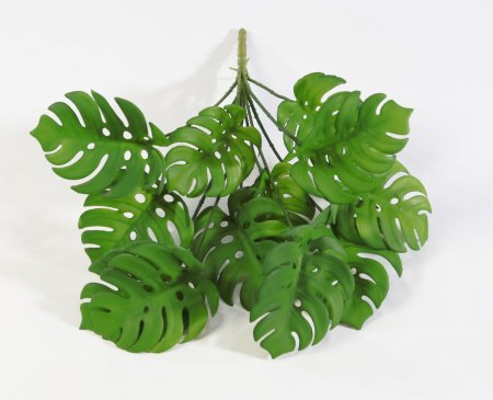 картинка Букет монстеры 12 листов от магазина KALINA