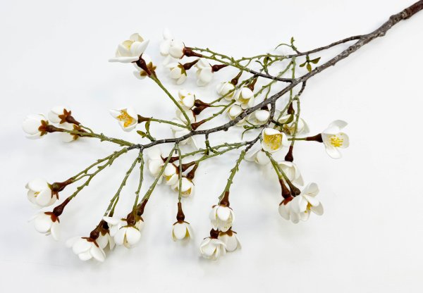 Сакура "Японская" белая