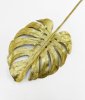 Лист монстеры золото