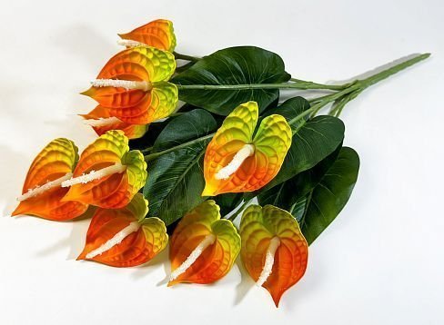 Букет калл "Пегас" 9 цветков от магазина KALINA являющийся официальным дистрибьютором в России 