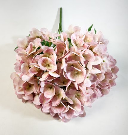 Букет гортензий 5 веток нежно-розовая