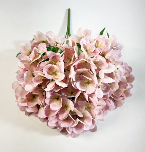 Букет гортензий 5 веток нежно-розовая