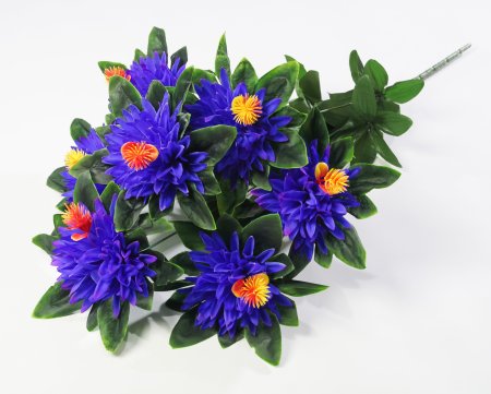 Хризантема "Ариадна" 7 цветков