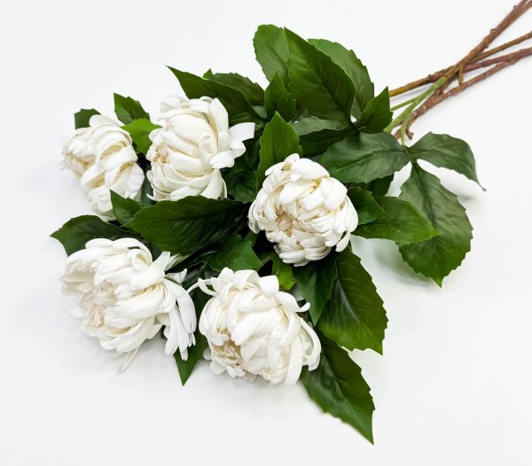 Хризантема белая