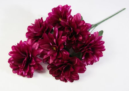 Георгин "Виталина" 7 цветков