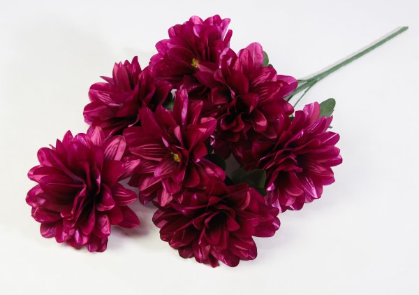 Георгин "Виталина" 7 цветков