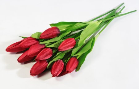 Тюльпан Былина