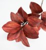 картинка Ветка магнолии Поздняя осень 17 листов от магазина KALINA