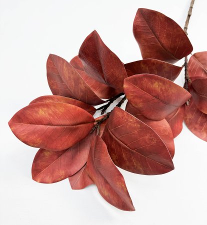 картинка Ветка магнолии Поздняя осень 17 листов от магазина KALINA