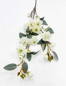 Сакура "Самурайский бутон" белая